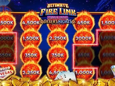 User Profile and Win History